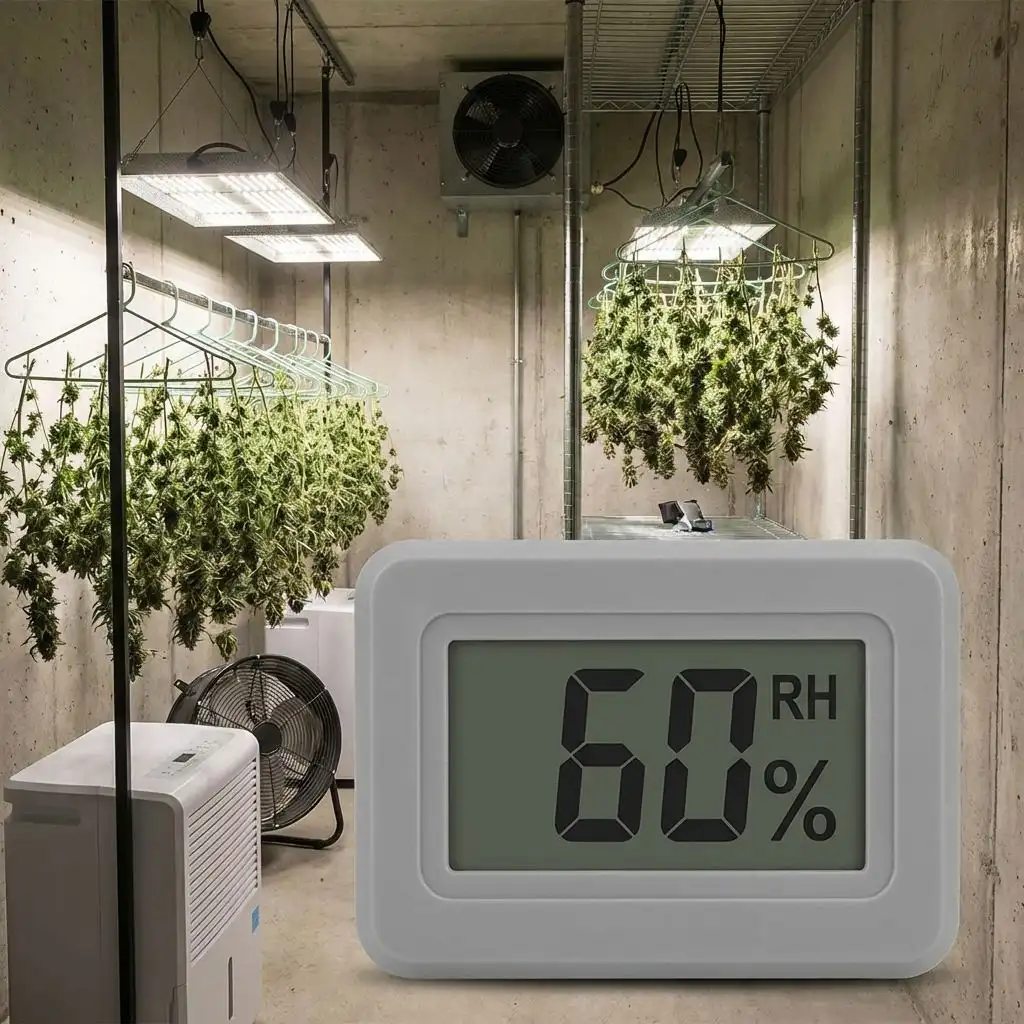 Curing in Mason Jars