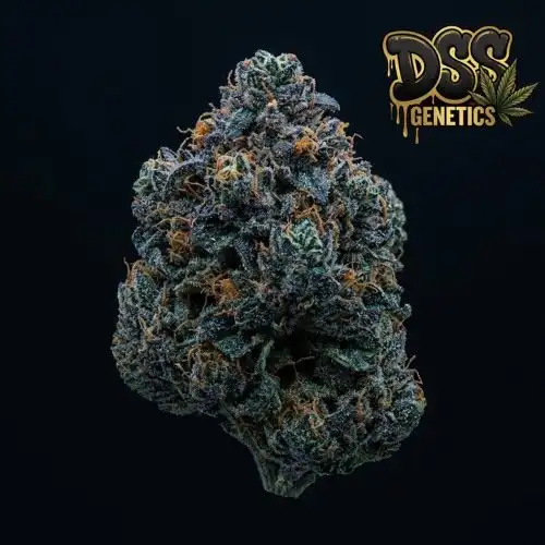 Blue Mystic Feminized Seeds cannabis seeds