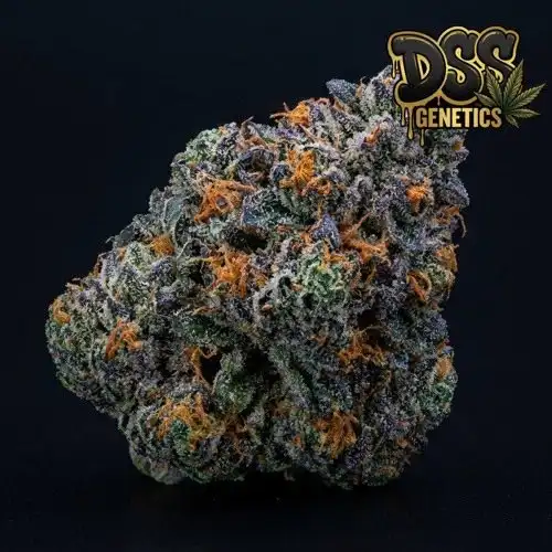 Jillybean grow guide