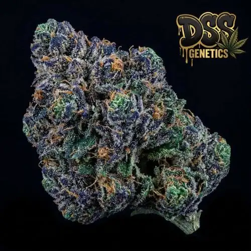 Kushberry grow guide