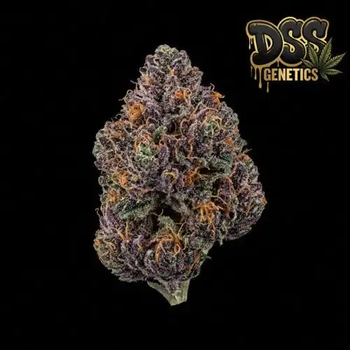 Purple Power grow guide